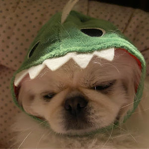 Meet your Posher, Marlie